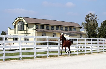 Yearling Barn